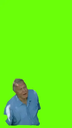 half blind half deaf