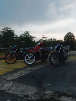 3D Loly 