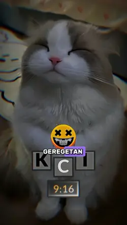 cintamu itu hoaxs
