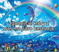 zjadłam tytuł 