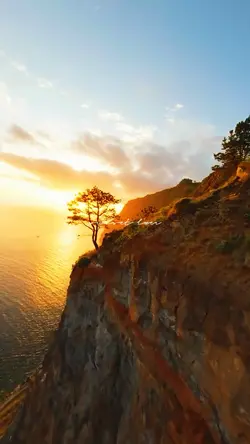 sunset lover