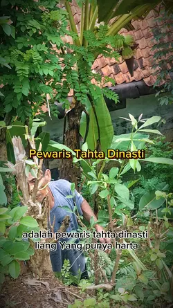 pewaris tahta_Dracin