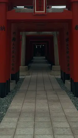 Cinematic japan edit