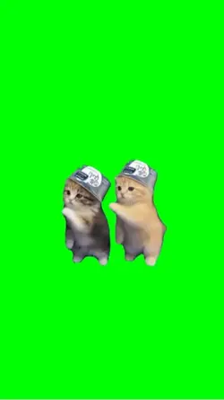 Dancing cat trends