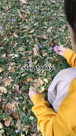 mini vlog aestetik