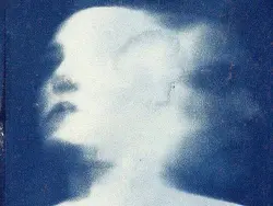 ౨ৎ   