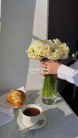 tuesday mood