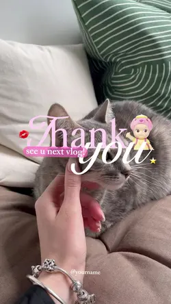 clean vlog outro 2