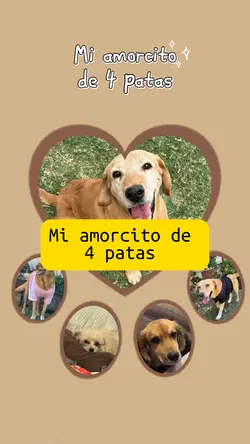 Mi amor de 4 patas 🐾