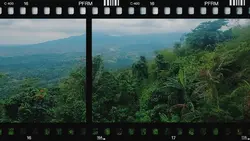 Film Frame