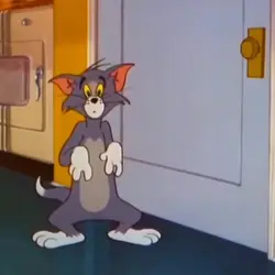 TOM AND JERRY 