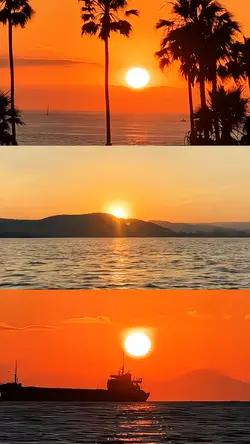 3 GRID SUNSET