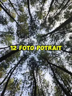 12 foto potrait