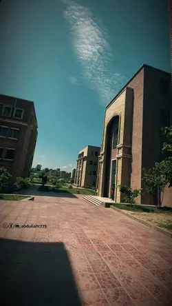 Education system mem