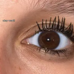 lashes