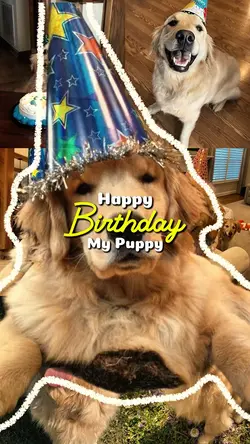 Birthday my puppy 🐶 