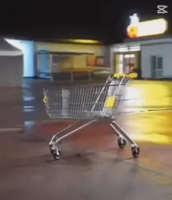 🔥shopping cart