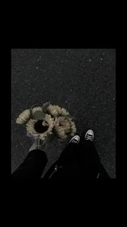Filter Black