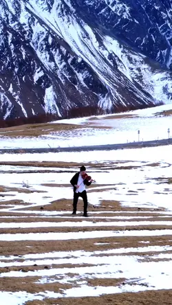 violin