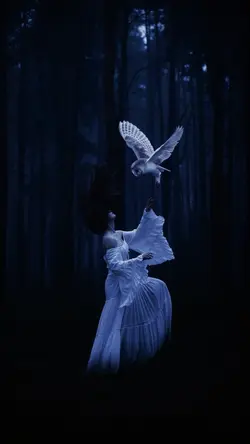 Paramore - Decode.