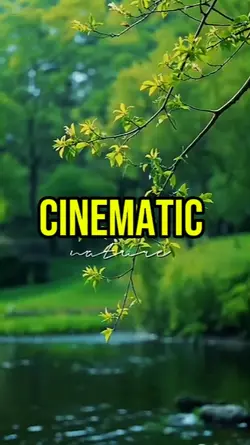 CINEMATIC NATURE 