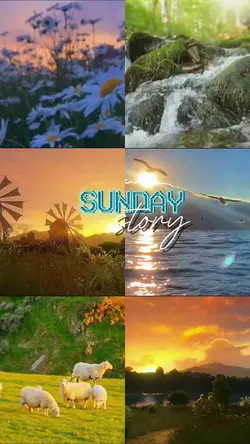 Sunday story