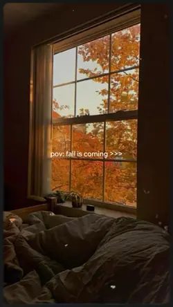 pov: Fall is coming