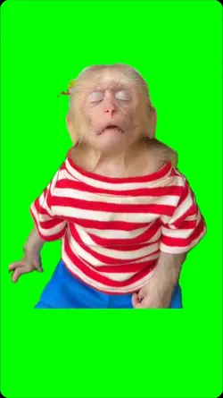 Monkey sleeping 