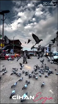 Kadir Gecesi |Şablon