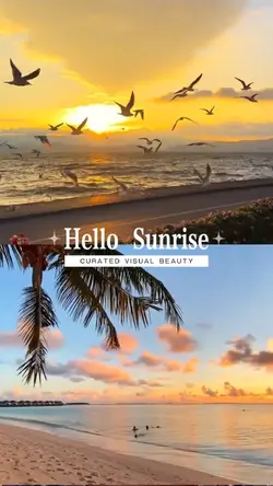 Hello sunrise