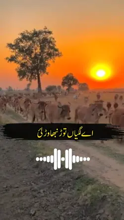 Punjabi شاعری sad