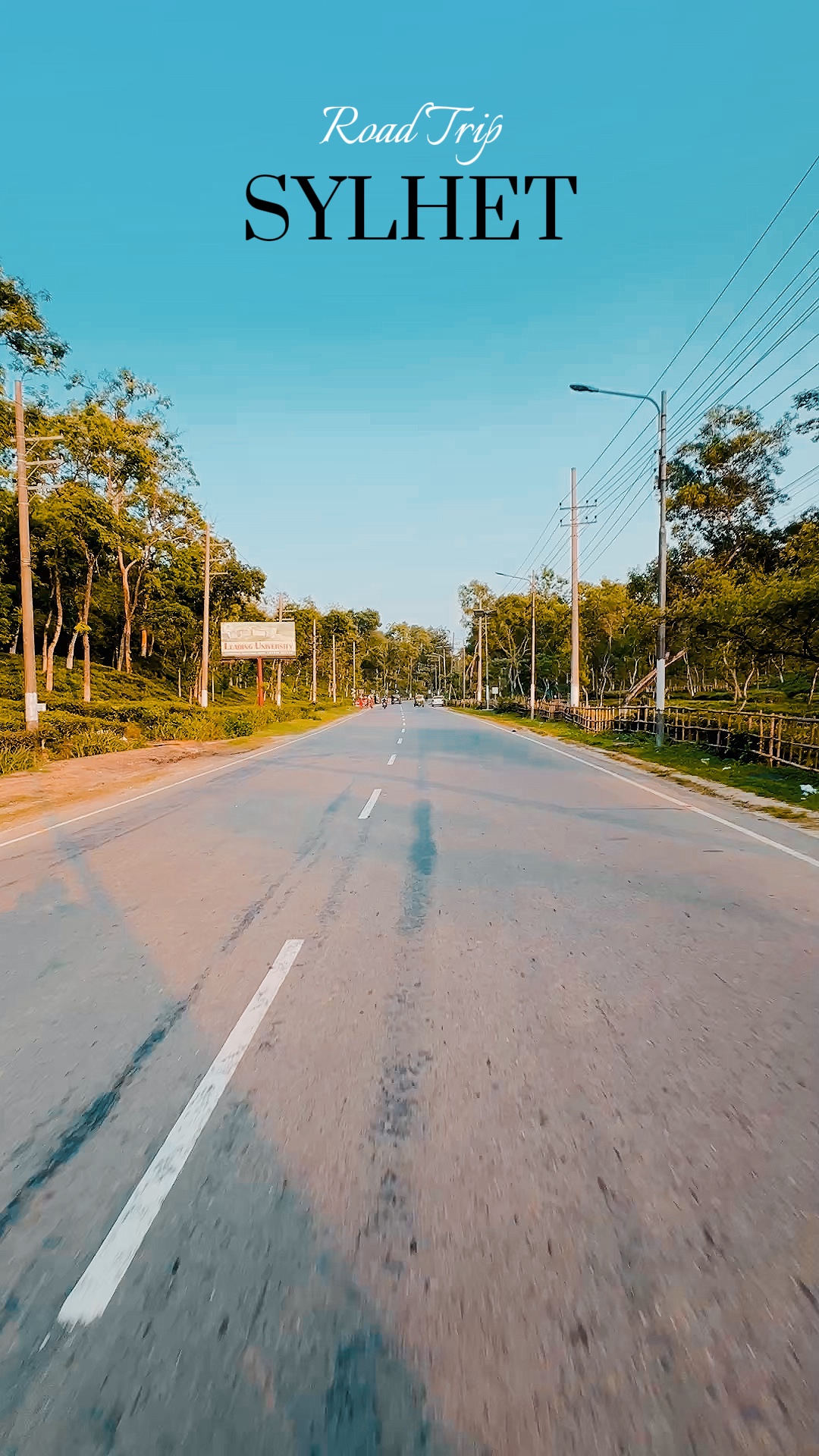 Roadtrip Video Templates Pippit