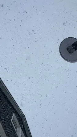 slowmo not real 