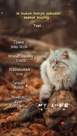 Template kucing