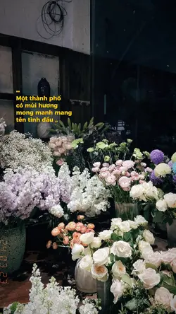 THÀNH PHỐ PHÍA ĐÔNG