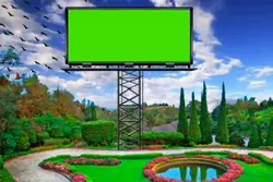 bird billboard 