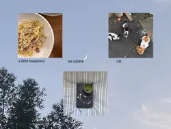 feed