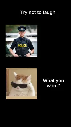 try not to laugh