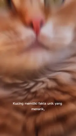 cerita kucing 