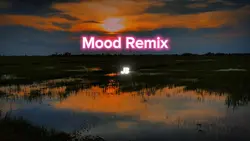 Mood Remix Lyrics