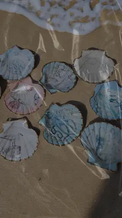 Shell Decor
