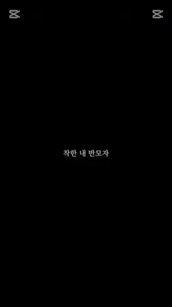 착한 내 반모자