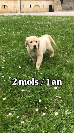 Avant après😻‼️