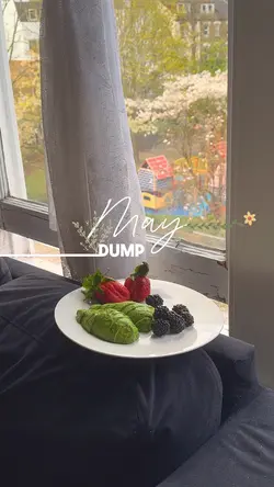 May Dump