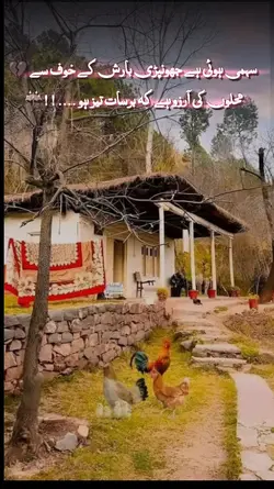 barsh  poetry