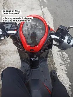 sedangdifase