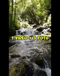 1 video 3 foto