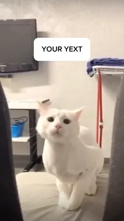 Meme with text 