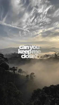 someone to stay