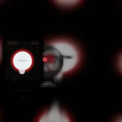 new temperate video